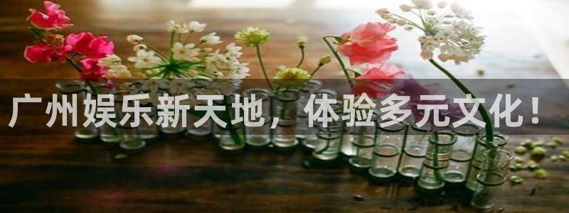 益达娱乐的平台：广州娱乐新天地，体验多元文化！
