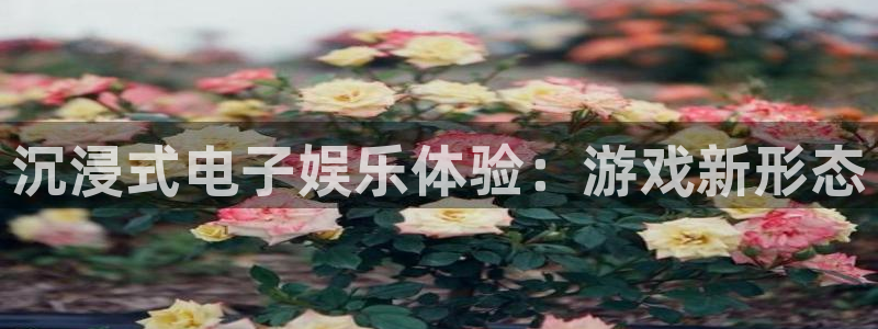 壹号大舞台娱乐传媒：沉浸式电子娱乐体验：游戏新形态