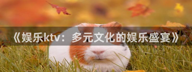益达娱乐.com：《娱乐ktv：多元文化的娱乐盛宴》