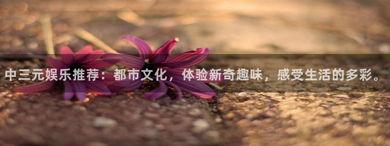 益达娱乐平台登录：中三元娱乐推荐：都市文化，体验新奇趣味，感受生活的多彩。