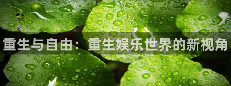壹号电子娱乐app下载：重生与自由：重生娱乐世界的新视角