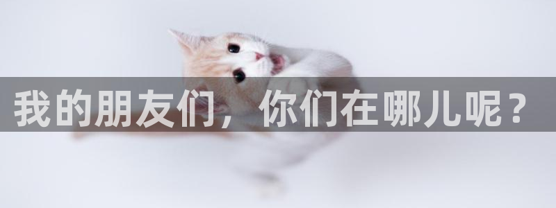 益达娱乐下载地址：我的朋友们，你们在哪儿呢？