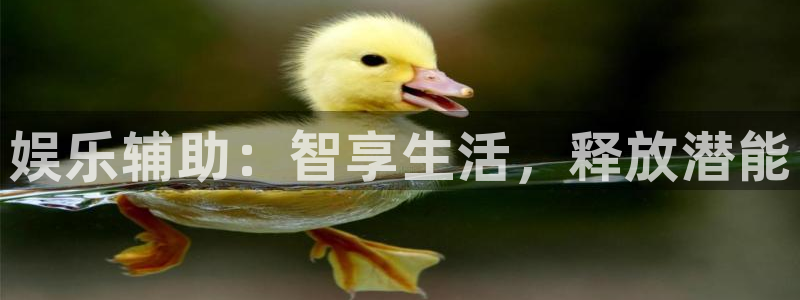 益达娱乐分红代理计划：娱乐辅助：智享生活，释放潜能