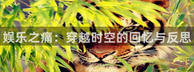 益达娱乐app官网下载：娱乐之痛：穿越时空的回忆与反思